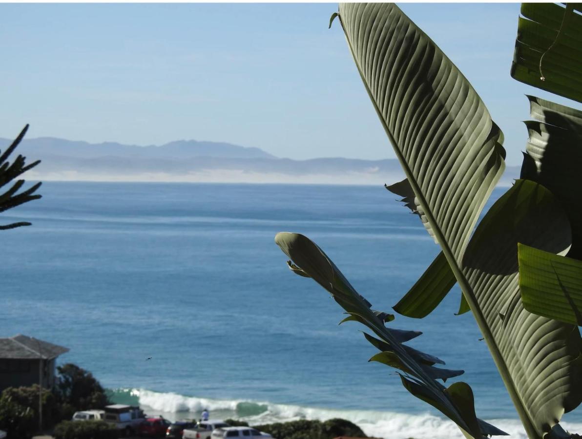 Surfstar At Mimosa Jeffreys Bay Διαμέρισμα Εξωτερικό φωτογραφία