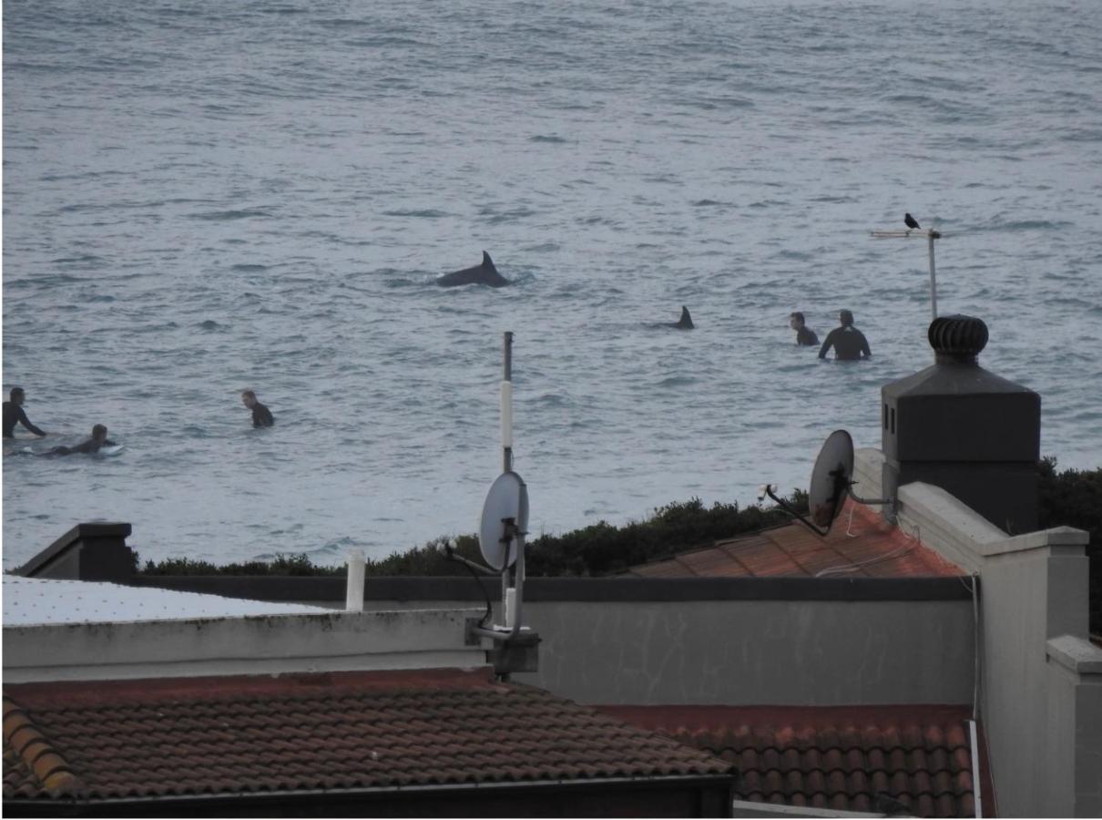 Surfstar At Mimosa Jeffreys Bay Διαμέρισμα Εξωτερικό φωτογραφία