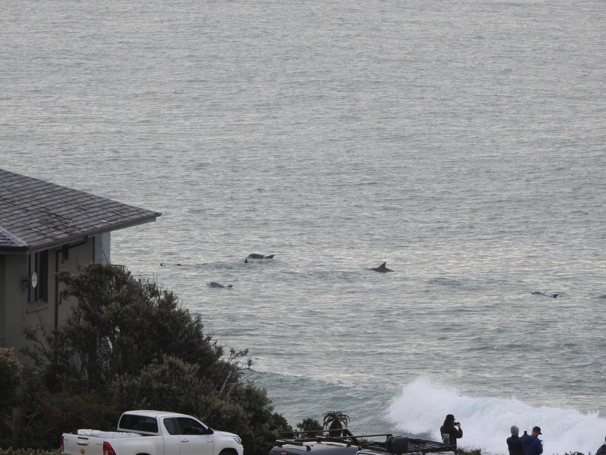 Surfstar At Mimosa Jeffreys Bay Διαμέρισμα Εξωτερικό φωτογραφία