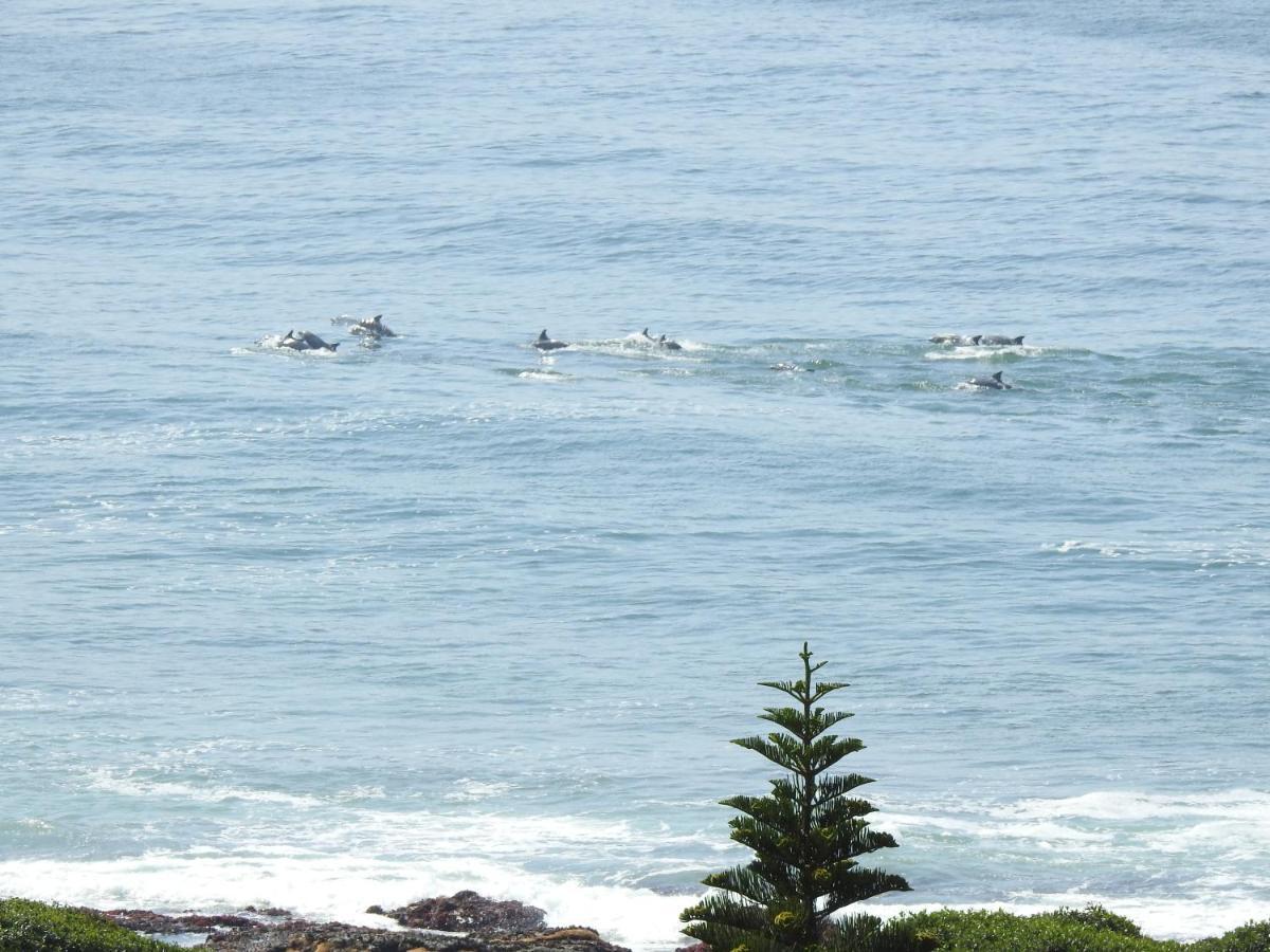 Surfstar At Mimosa Jeffreys Bay Διαμέρισμα Εξωτερικό φωτογραφία