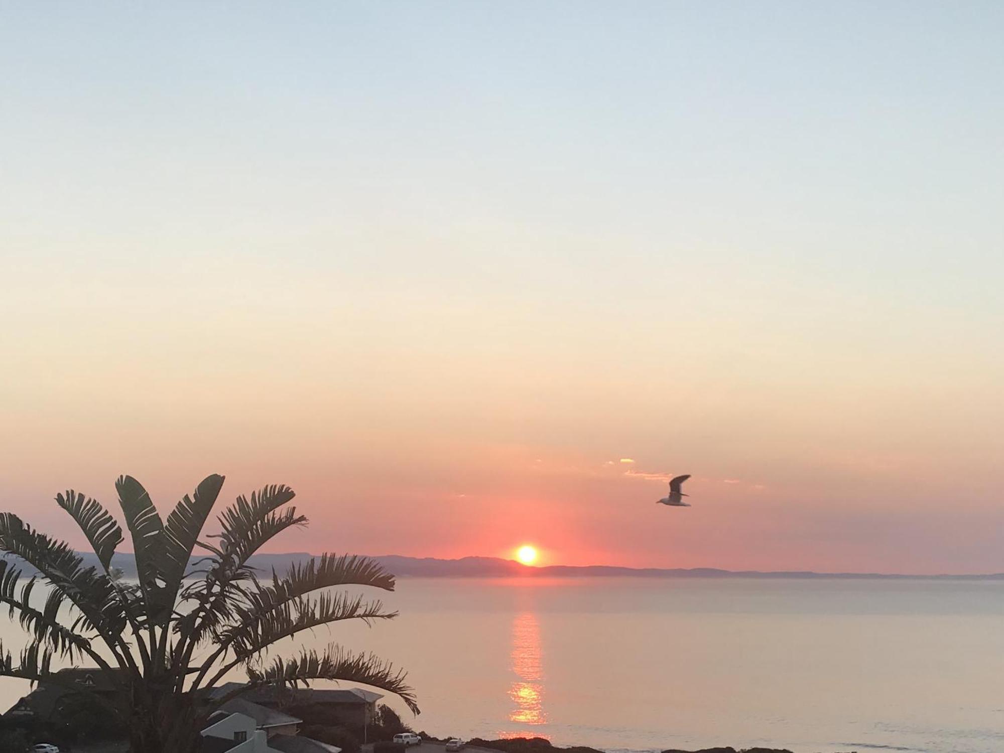 Surfstar At Mimosa Jeffreys Bay Διαμέρισμα Εξωτερικό φωτογραφία