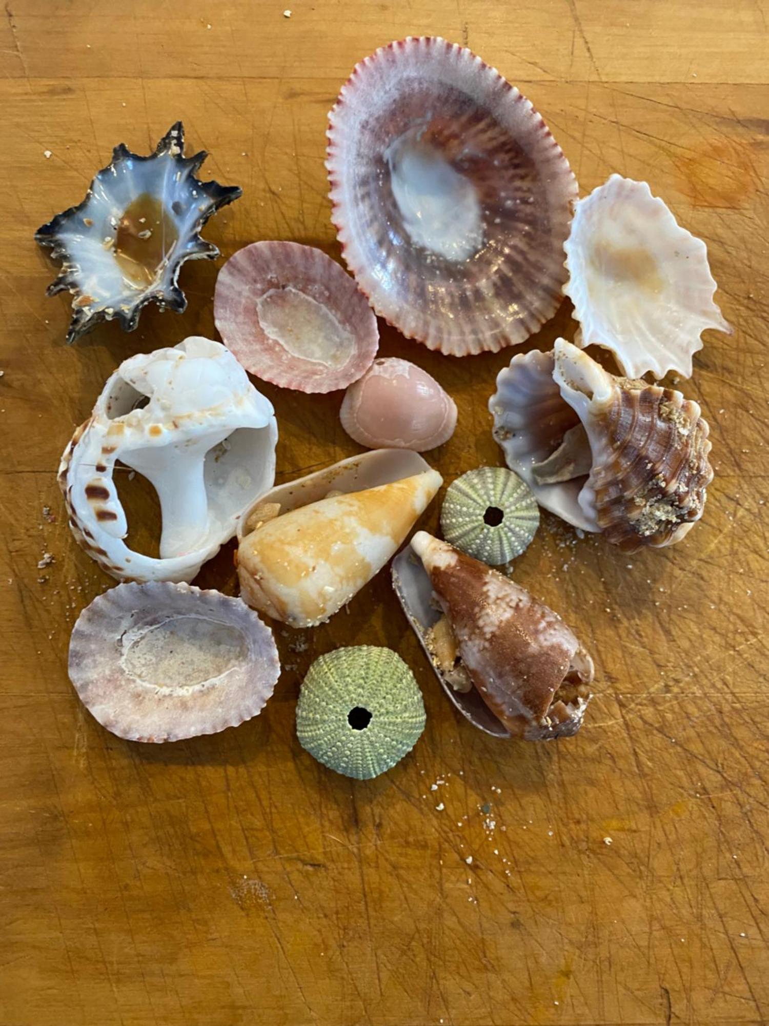 Surfstar At Mimosa Jeffreys Bay Διαμέρισμα Εξωτερικό φωτογραφία