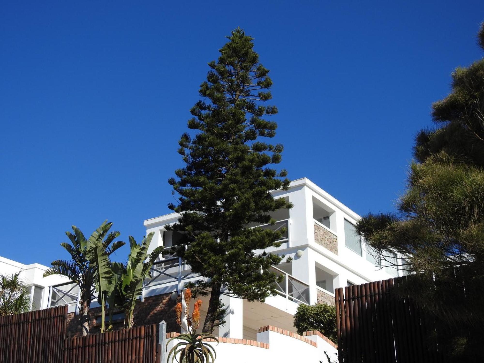 Surfstar At Mimosa Jeffreys Bay Διαμέρισμα Εξωτερικό φωτογραφία